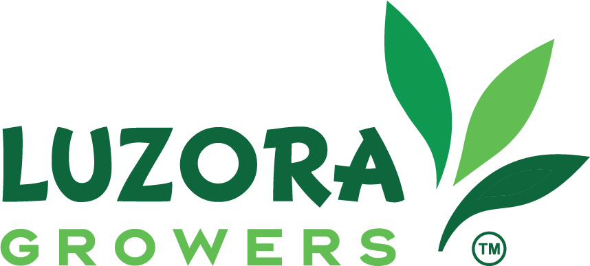 Luzora Growers