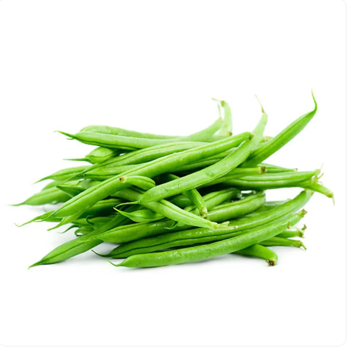 Fine Beans