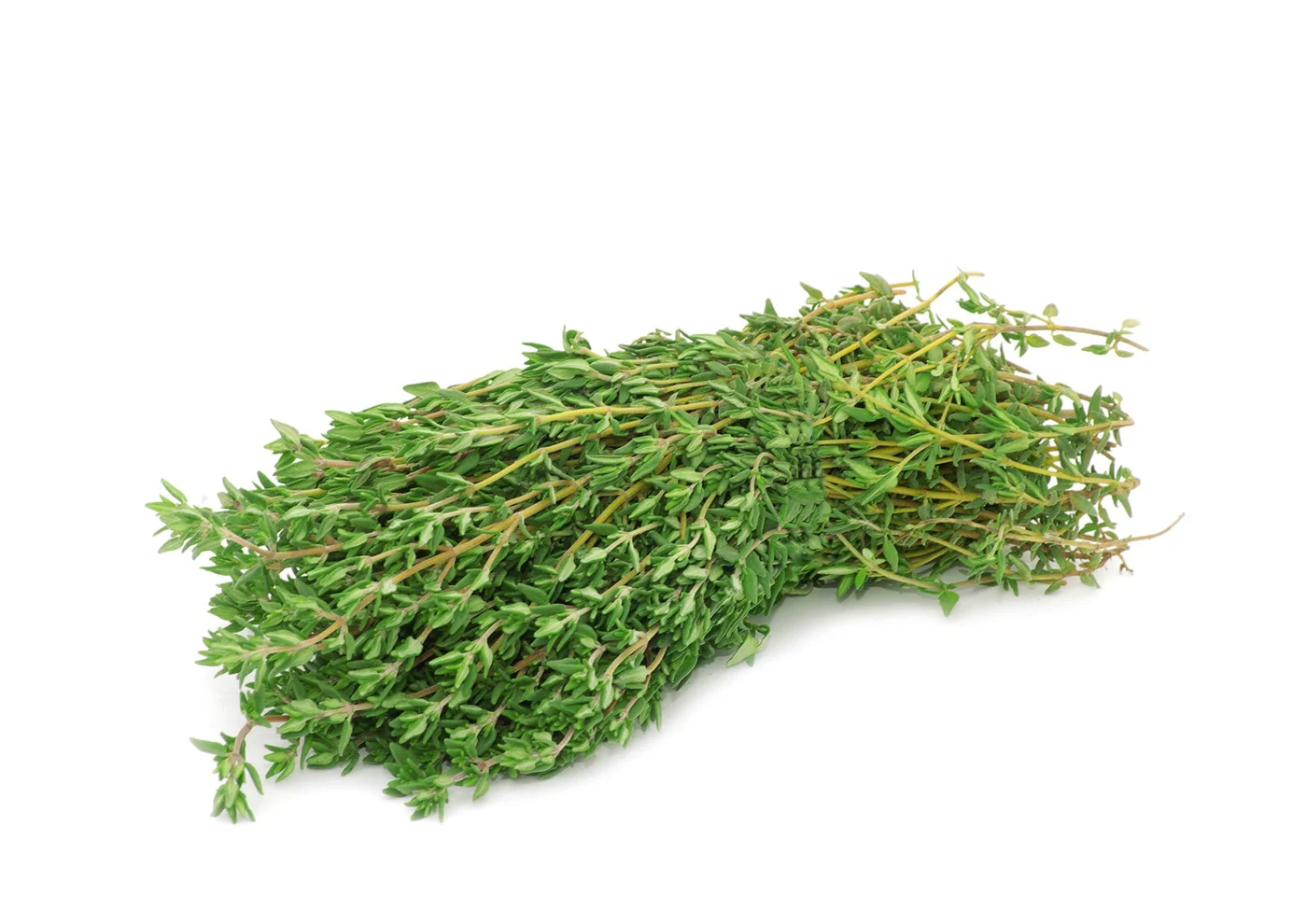 Thyme