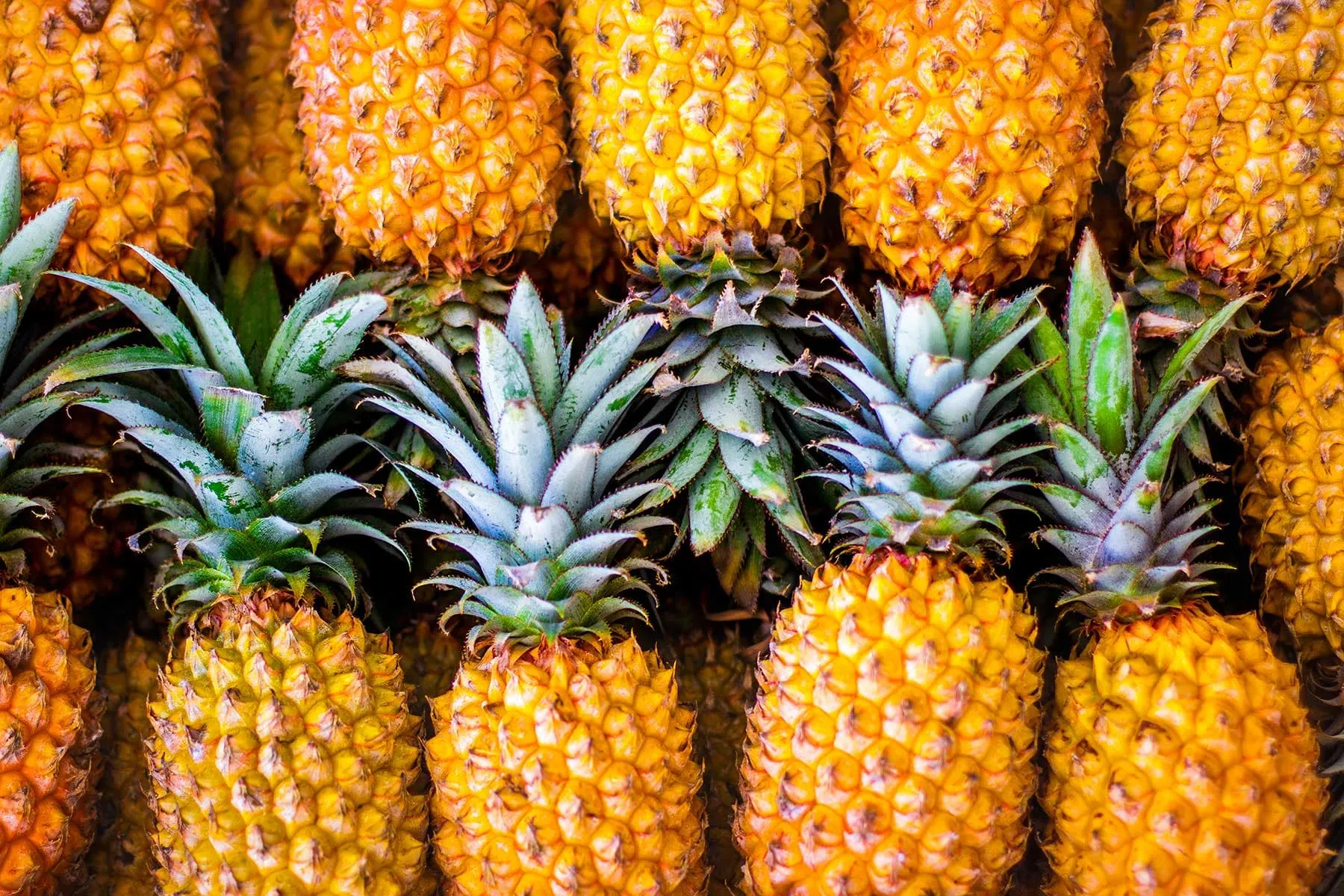 Pineapples