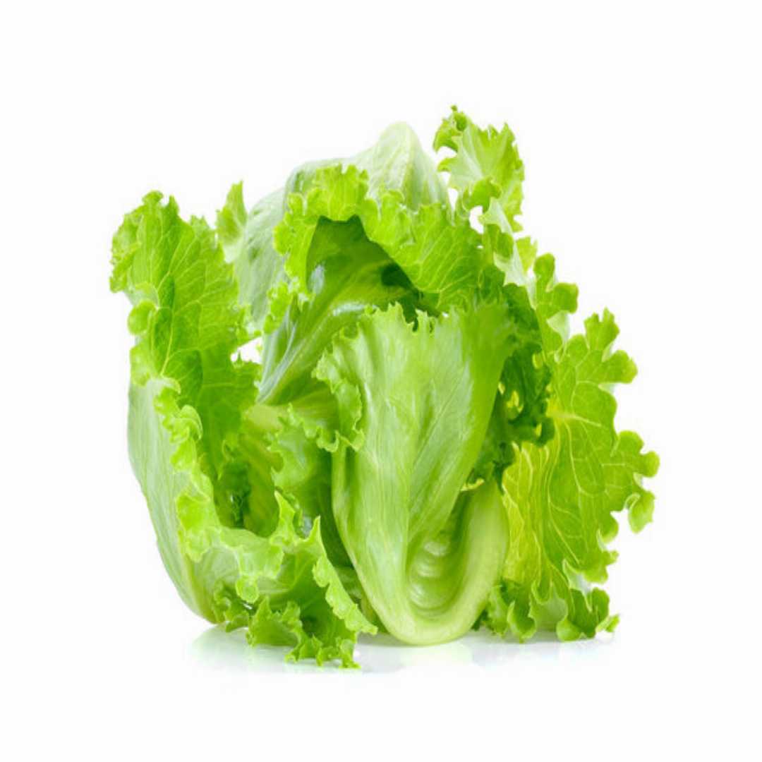 Lettuce