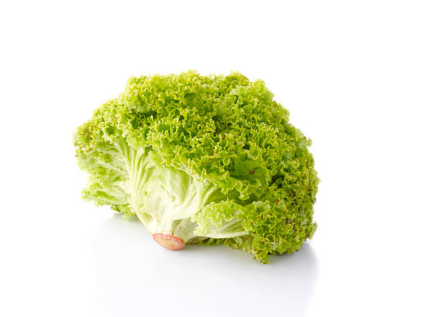Lettuce