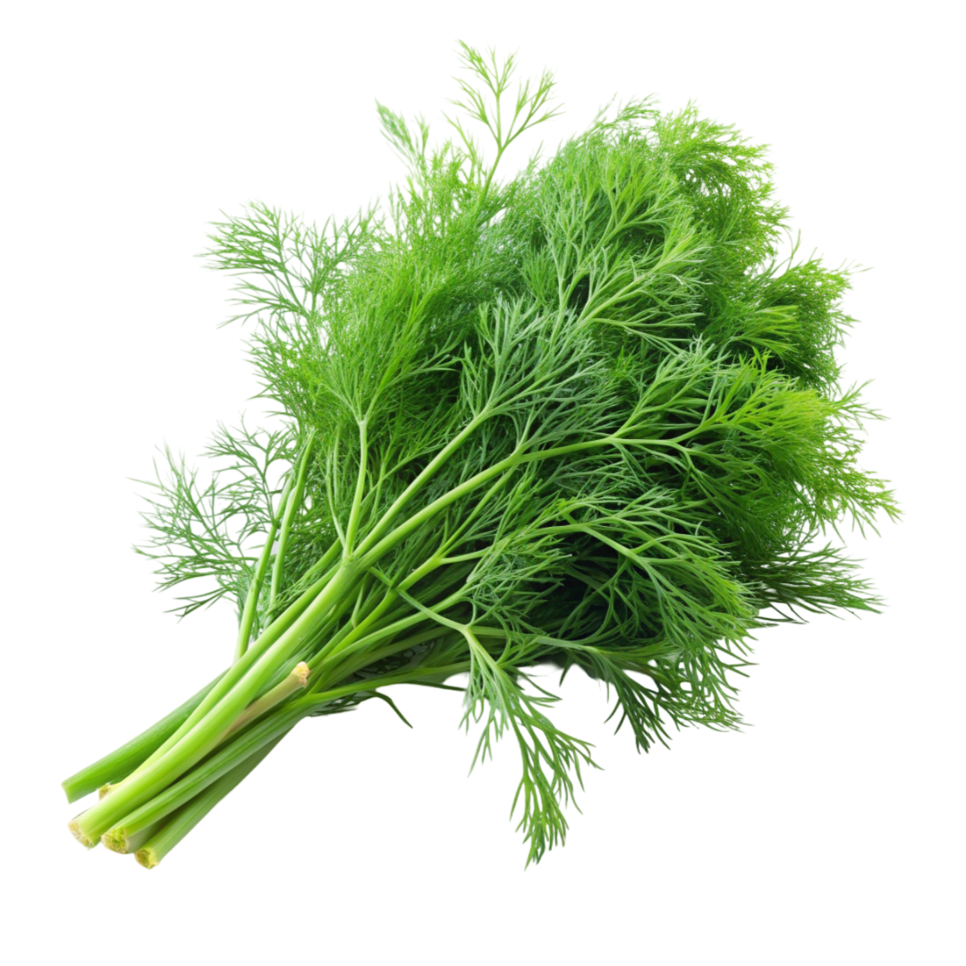 Dill