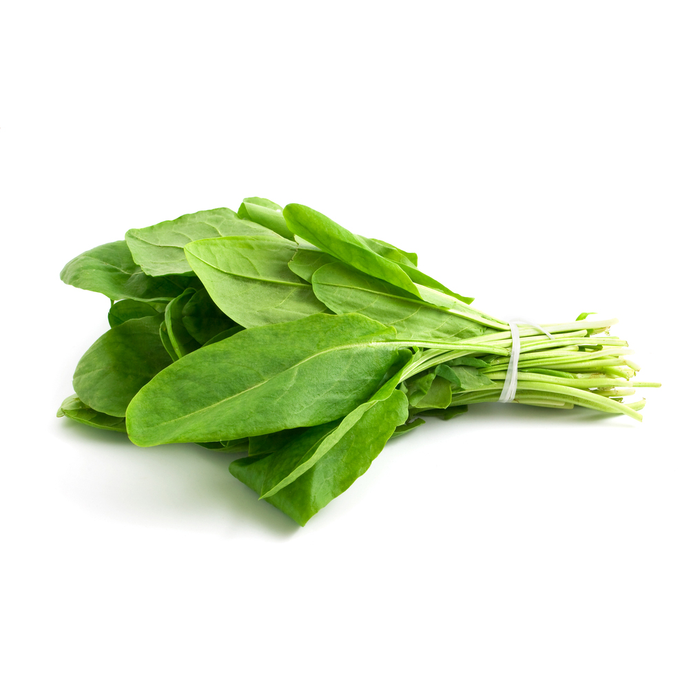 Sorrel