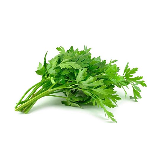 Flat Parsley