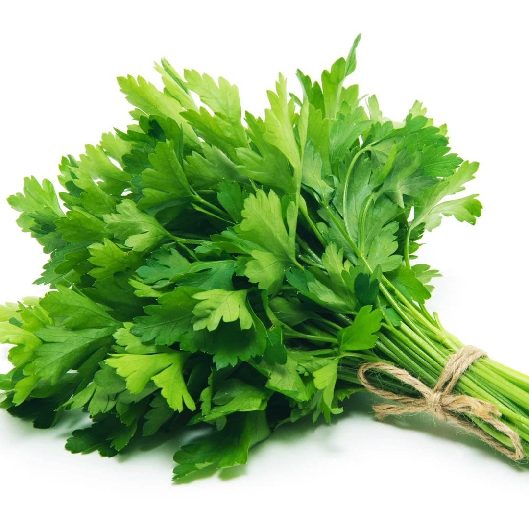 Flat Parsley