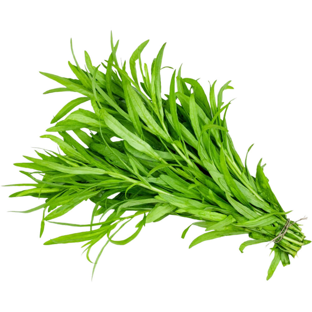 Tarragon